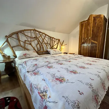 Pensjonat Casa Vlad *